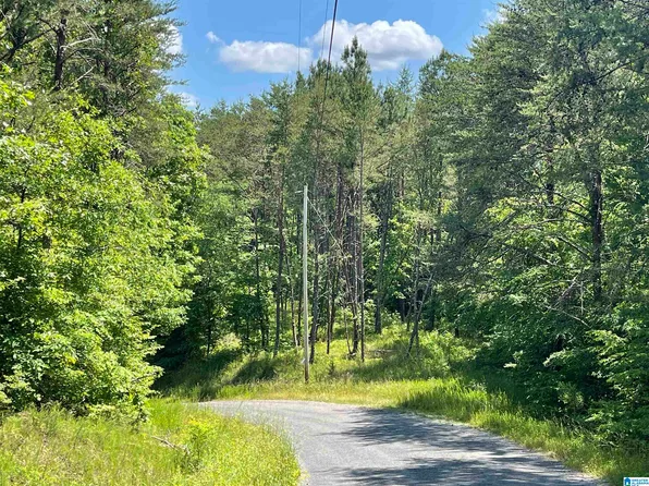 LOT 1 Starview Ln #1, Warrior, AL 35180