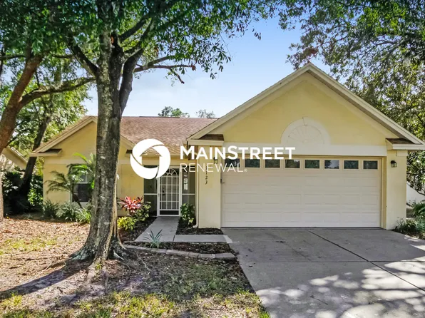 1123 Bloom Hill Ave, Valrico, FL 33596