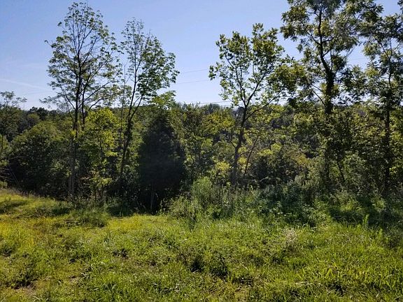 4th image of 9910 Cedarwood Ln