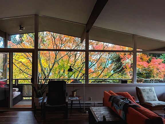Window view from the living room in Autumn.
