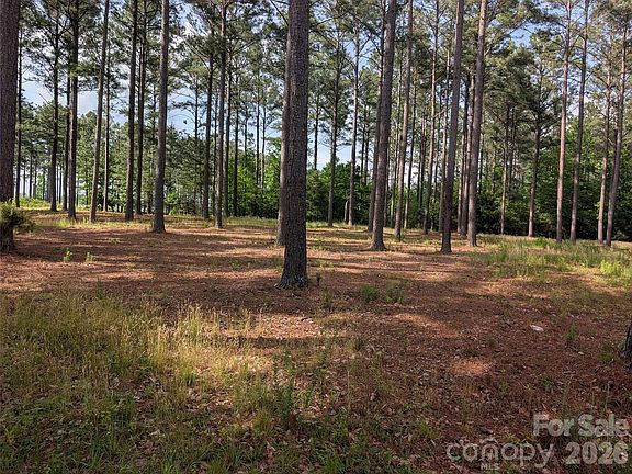 5th image of 0 Blessed Hope Rd Tract 2