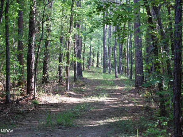 0 Hays Farm Rd, Musella, GA 31066