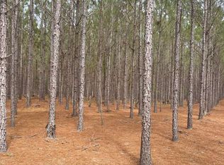 NW County Road 348, Mayo, FL 32066