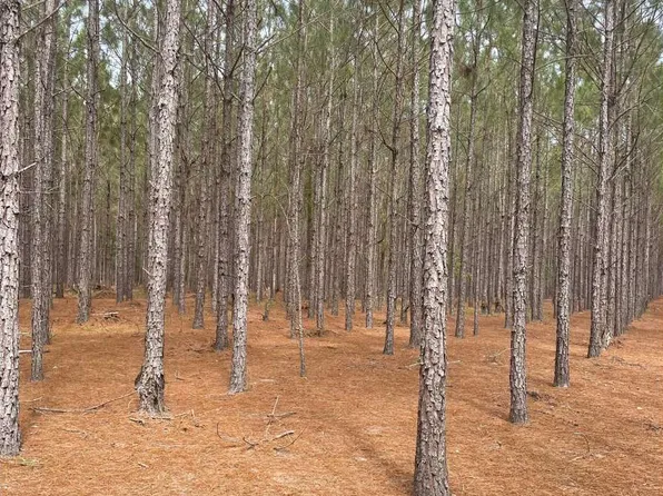 NW County Road 348, Mayo, FL 32066