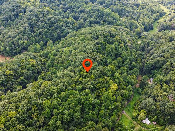 3rd image of Hawk Ln