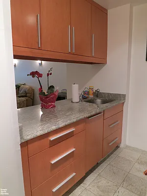 Rented by Brown Harris Stevens | media 15