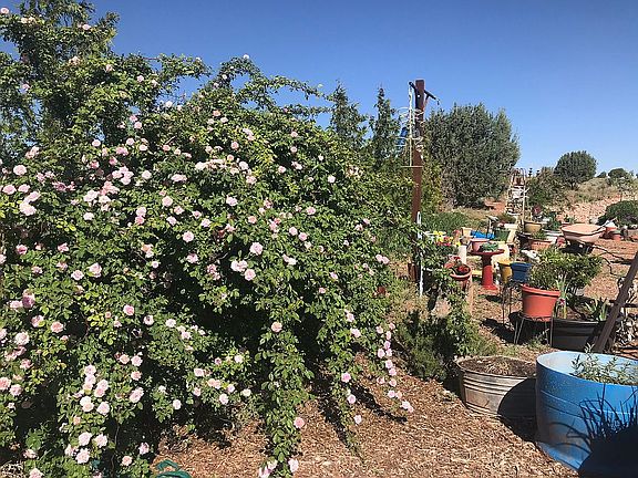 3rd image of 8377 Garden Home Trl