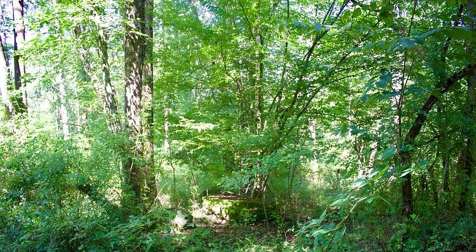 1st image of 0 Belcher Rd