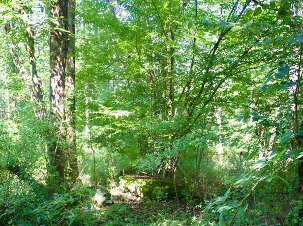 0 Belcher Rd, Union Dale, PA 18470