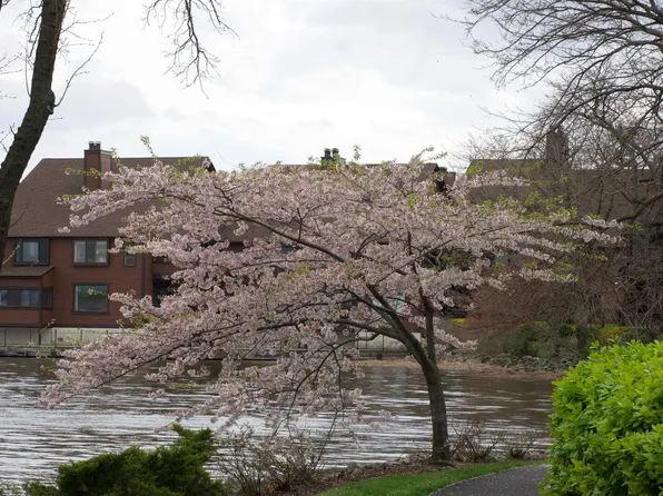 530 Teal Plaza image 22 of 30