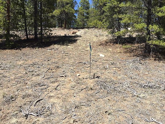 4th image of 198 Aspen Dr