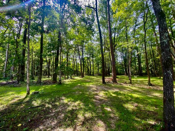 76 Highway, Williston, TN 38076