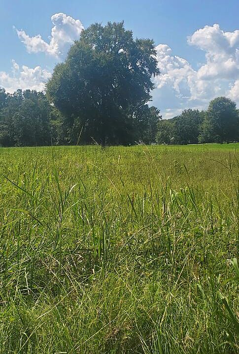 1st image of 987 Scurry Church Rd