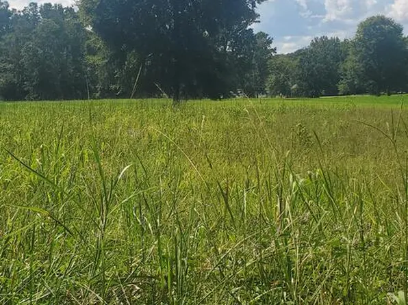987 Scurry Church Rd, Chappells, SC 29037