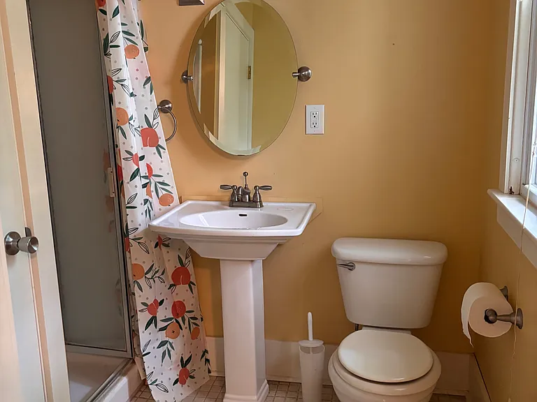 Downstairs bath with shower