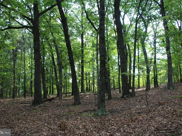 Dawn Heights Trl, Winchester, VA 22603