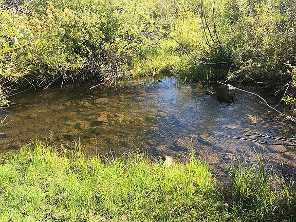 Pass Creek bordering propert