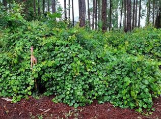 118 Royal Tern Way, Carrabelle, FL 32322