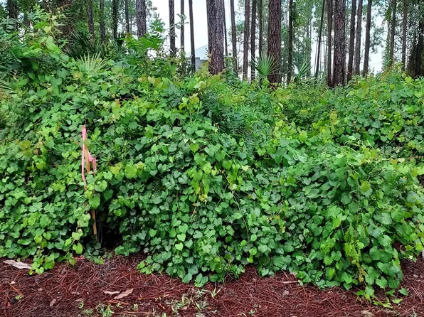 116 Royal Tern Way, Carrabelle, FL 32322