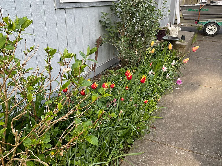 Front walkway