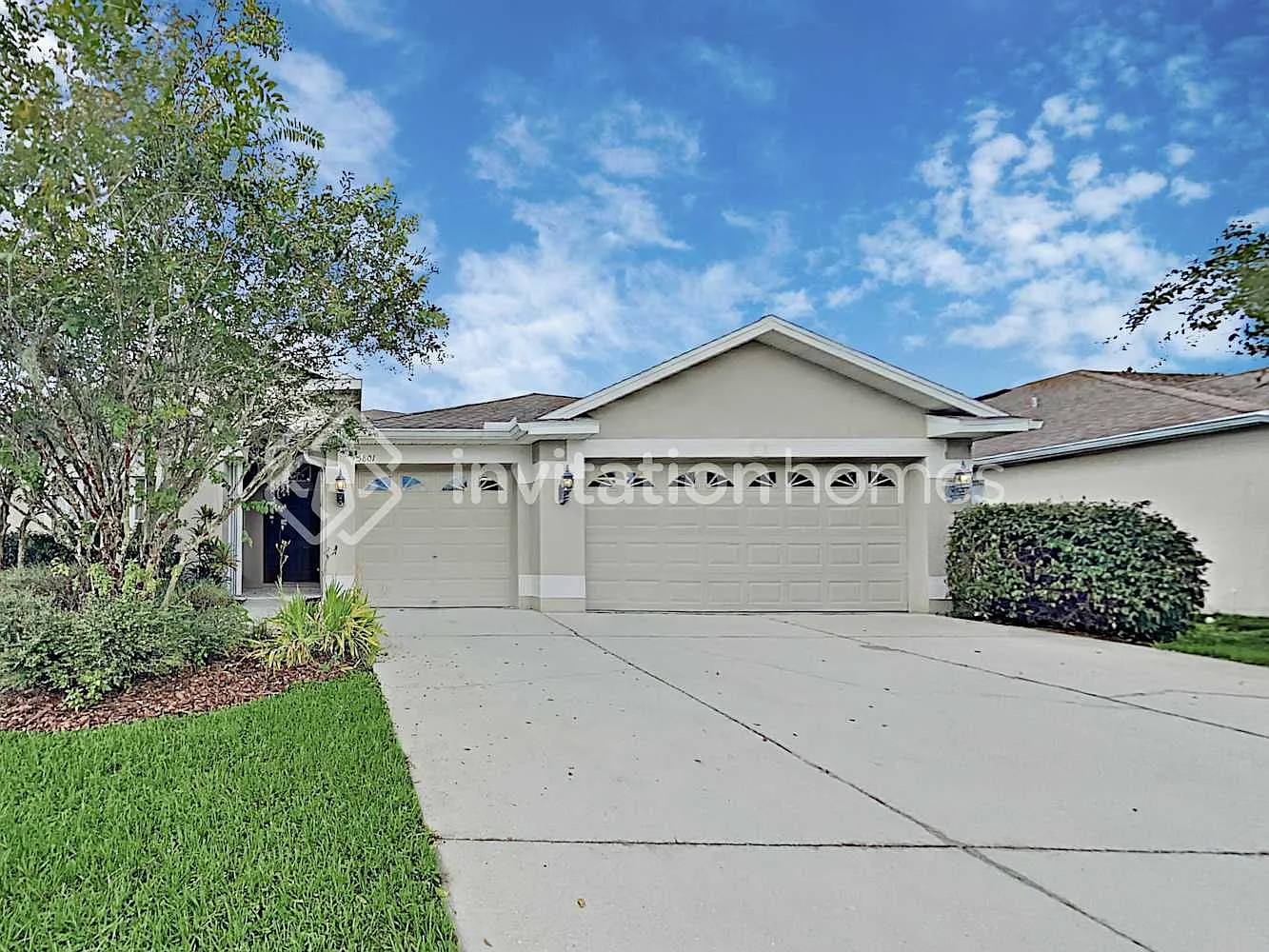 5801 Candytuft Pl Land O Lakes, FL 34639 — Photo 1