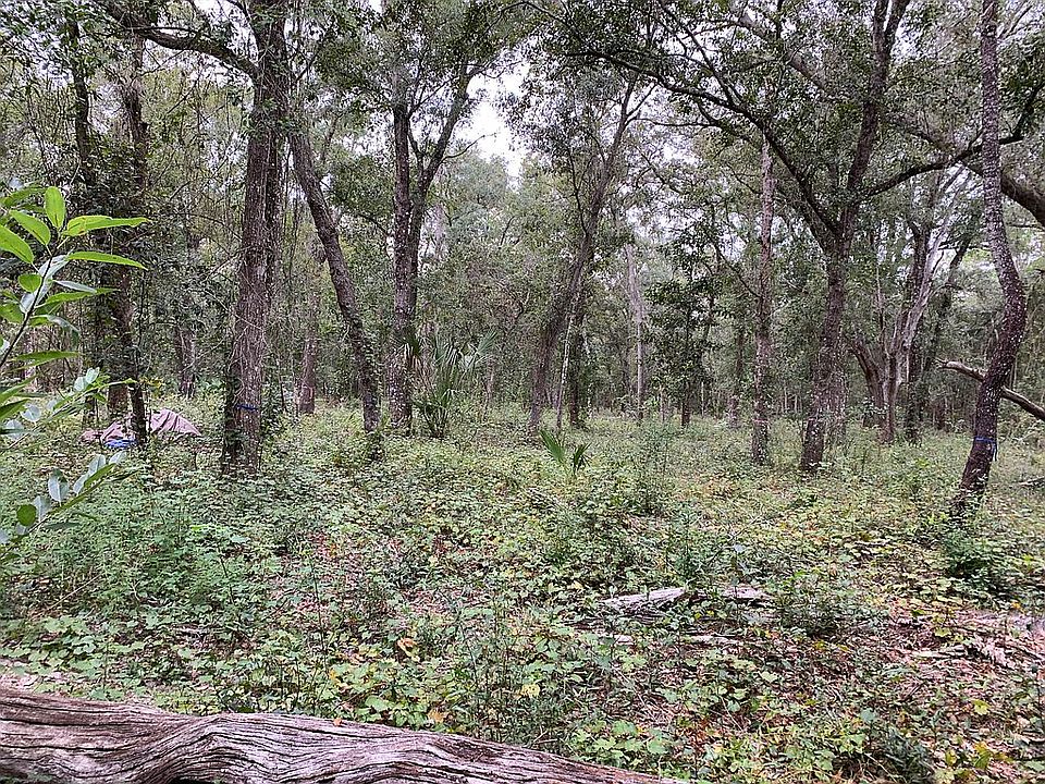 1st image of 485 Oakridge Ter