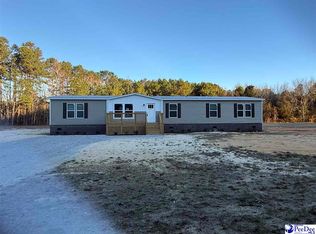 2711 Ballpark Rd, Effingham, SC 29541