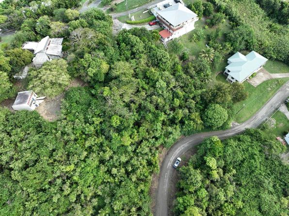 61 Sion Hill QU, St. Croix, VI 00820