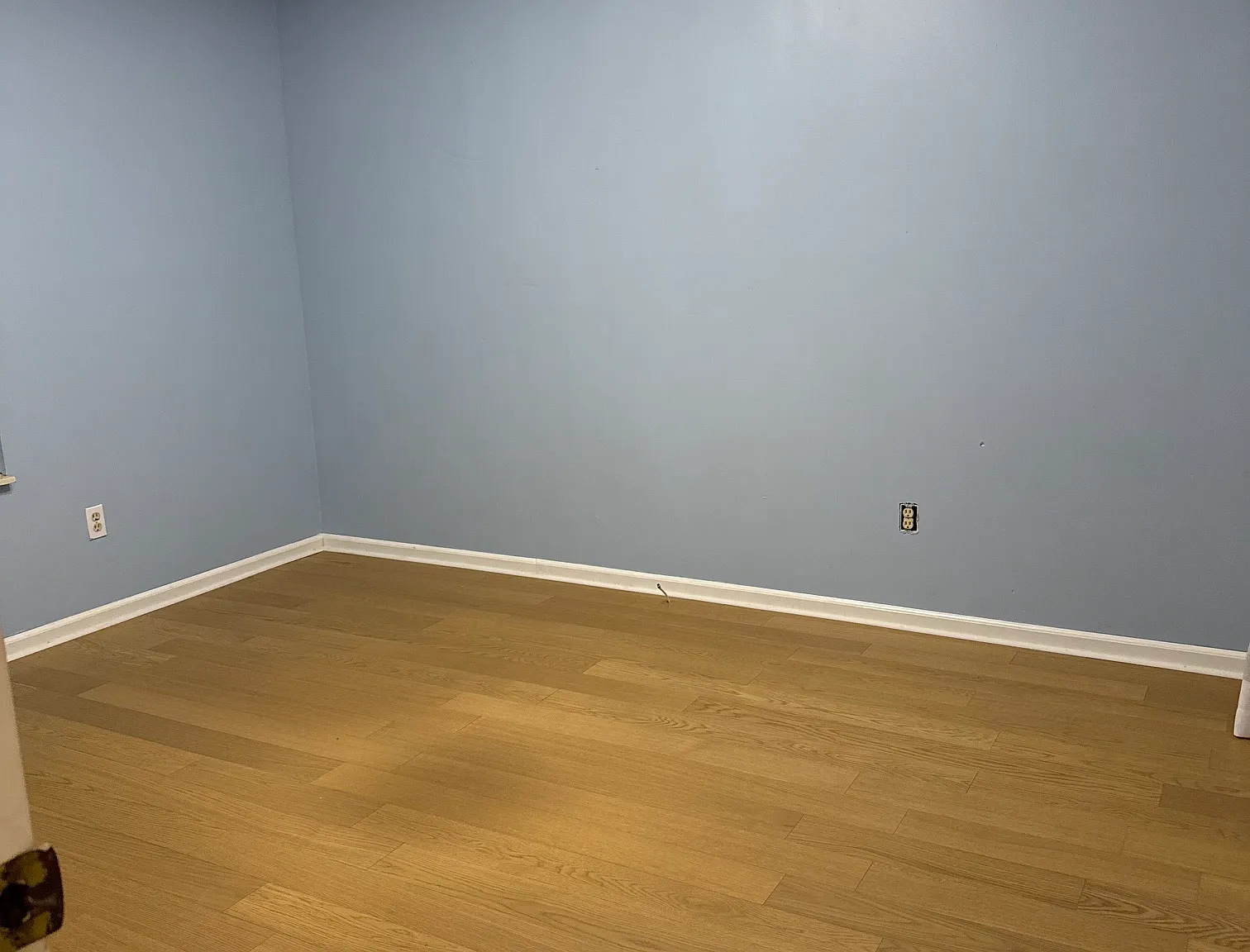 3 bed, 1.5 bath, 1428 sqft, $2,000 — Photo 4