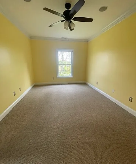 2nd Bedroom with Plenty of Natural light