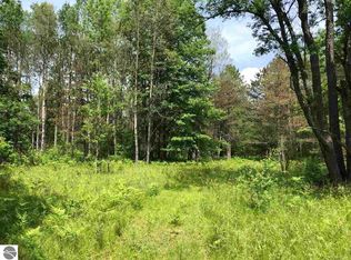 00 Caberfae Hwy, Wellston, MI 49689