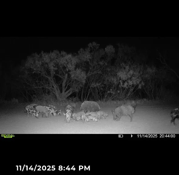 8234 County Road 266 — Photo 34
