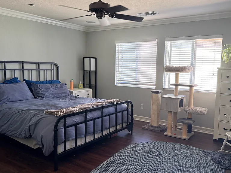 10517 Hollingsworth Way — Photo 10
