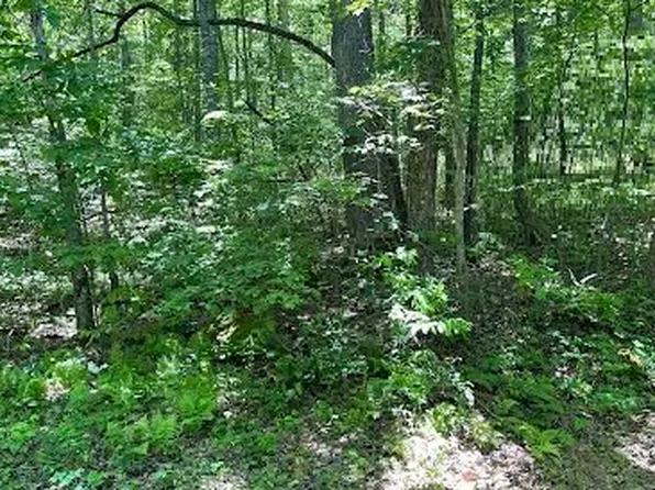 0 Coon Cove Rd, Hiawassee, GA 30546
