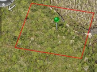 0 Street, New Smyrna Beach, FL 32168