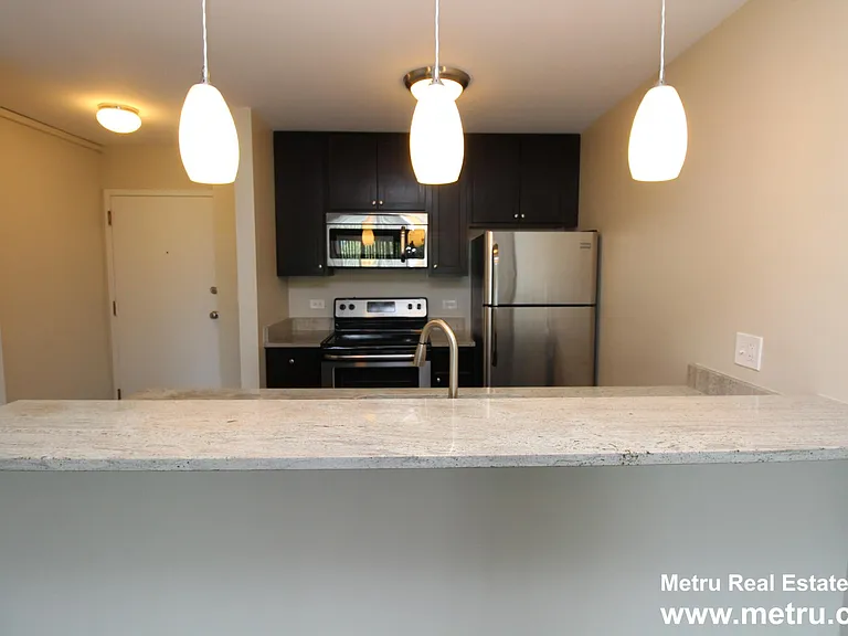 1720 N Halsted St #303 — Photo 6