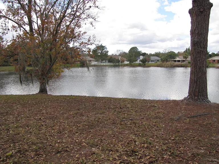 Back Yard with Lake