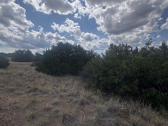 3rd image of 558 Shavano Dr