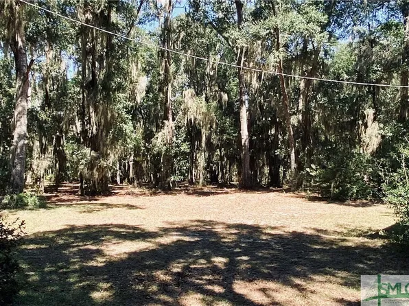 1093 Silver Maple Dr NE, Townsend, GA 31331