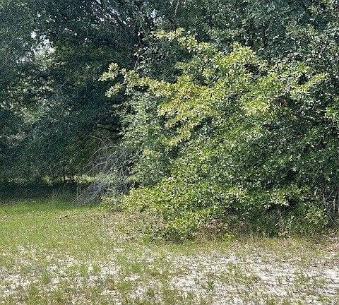 3rd image of 0 Lee Rd