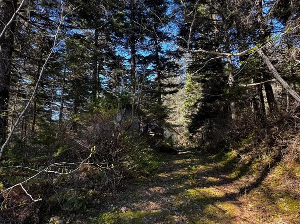 15485 Grouse Creek Rd, Seward, AK 99664