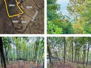 Morning Side Trl, Fancy Gap, VA 24328