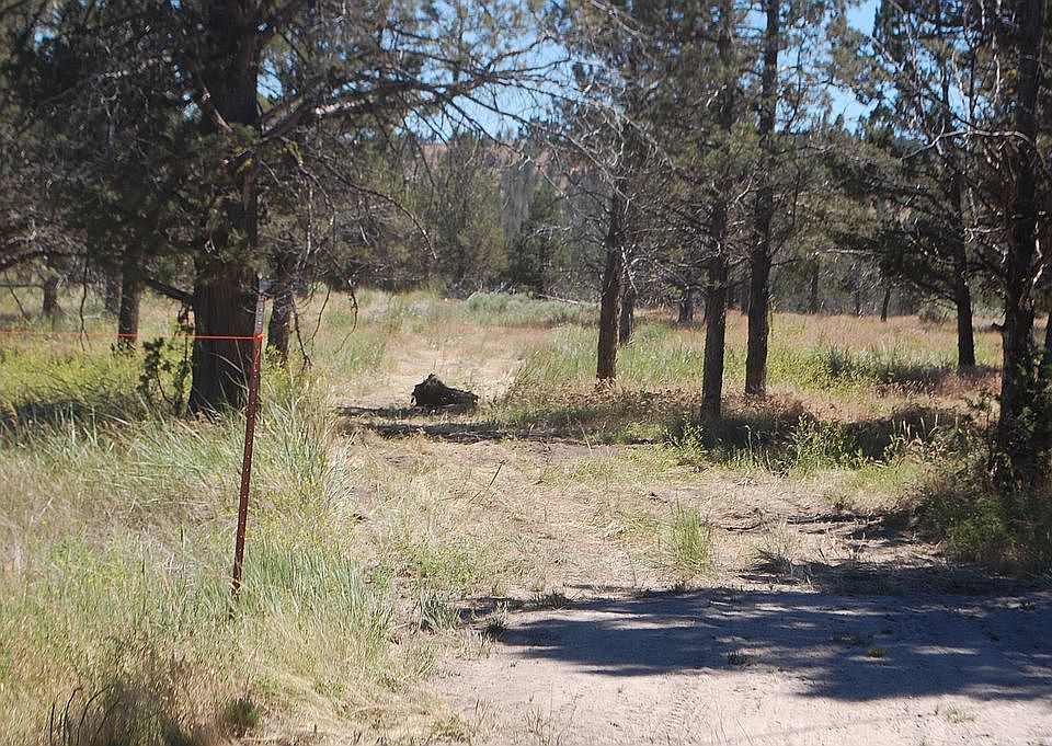 Preliminary driveway cut in