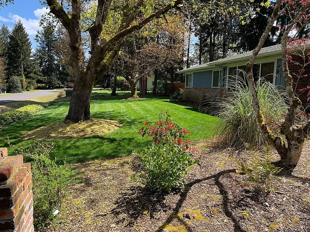 35606 Westminster St photo 1