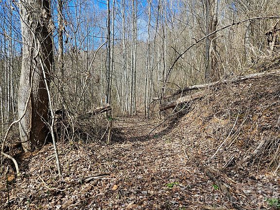 5th image of 0 Woodfin Rd