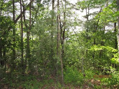 Tract Hanes Rd Lot 6, Oakman, GA, 30732