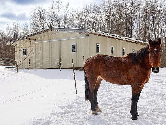 4th image of 2687 Raymilton Rd