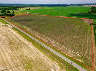 0 Tippettville Rd, Pineview, GA 31071