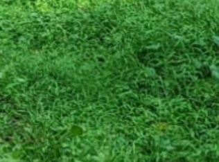 Sharon Rd, Jarrettsville, MD 21084