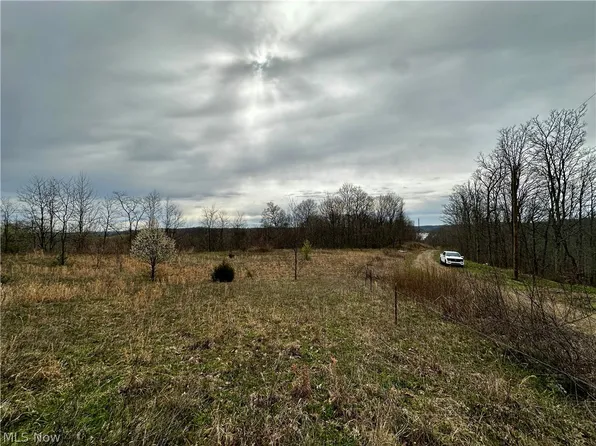 35840 Swan Rd, Long Bottom, OH 45743